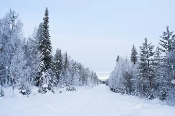 Foto auf Leinwand Taiga, Kuusamo, Finland © AGAMI