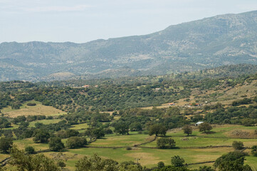 Fototapeta premium Lesbos, Lesvos