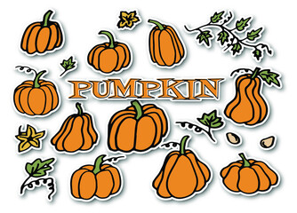 Collection of  pumpkin stickers in doodle style. Fall harvest. Vector set. Can be used for printed materials. Food background. Hand drawn.