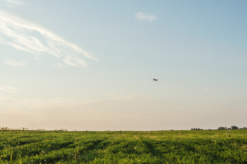 Little Plane in blue sky. Green field.