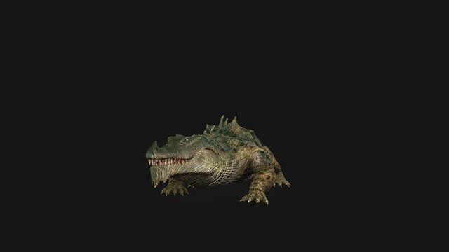 Crocodille Attack Seamless Loop, Alpha Channel