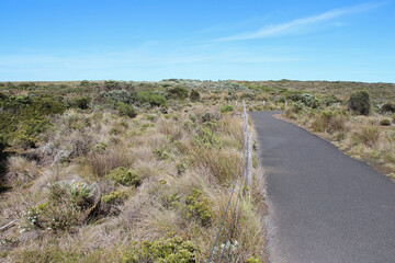 along the great ocean road in australia 