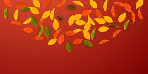 Falling autumn leaves. Red, yellow, green, brown neat leaves flying. Semicircle colorful foliage on gorgeous red background. Charming back to school sale.