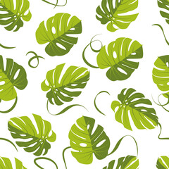 monstera leaf pattern, Palm Leaf Seamless Background. Vector illustration