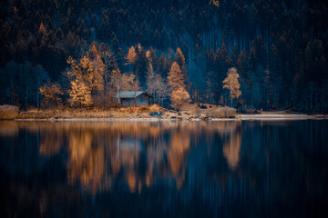 reflection of trees in the lake