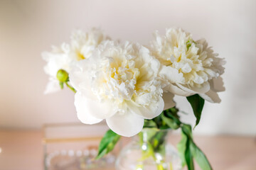 Bouquet of beautiful peony. Copy space. International Women's Day celebration. White wall background. Scandinavian interior.	