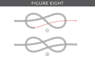 Vector simple instructions for tying a Figure eight knot. Two steps. Isolated on white background.