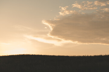 sunset over the field