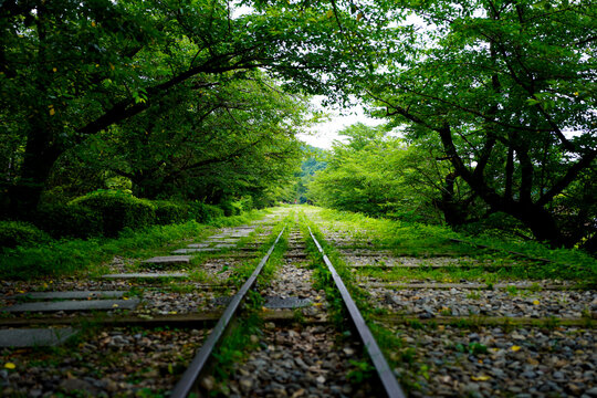 Keage Incline in Kyoto.