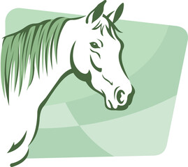 cavalo fundo verde © marcelo