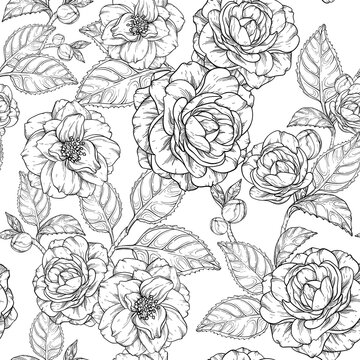 Seamless pattern with Camellia flowers. Black and white Camellia and rose flower collection