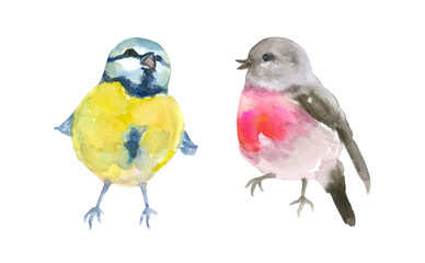 Singing Small bird watercolor painting set of 2, animal collection clip art or elements artwork, hand drawn isolated on white background