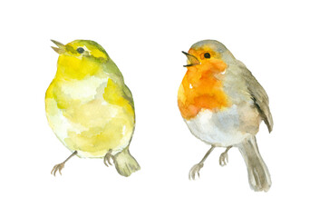 2 Singing bird watercolor painting set of 2, animal collection clip art or elements artwork, hand drawn isolated on white background
