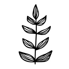 Branch with leaves. Hand drawn black doodle outline silhouette of plant twig. Stock vector minimal illustration isolated on white background.