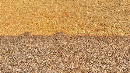 wheat grain background