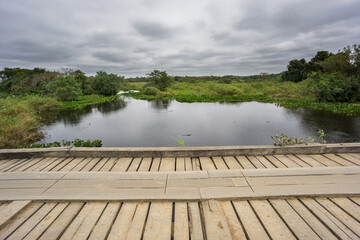 Wide view of Transpantaneira Road wooden bridge in Panantal wetlands