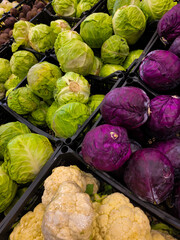 vegetables at the market