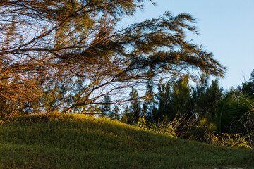 Obraz premium por do sol