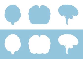 Foto op Canvas Vector set of silhouettes of the human brain on a white and blue background. © Vladislav