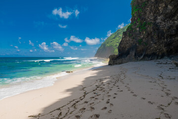 Obraz premium Tropical wild beach. Paradise sandy beach and blue ocean with wave