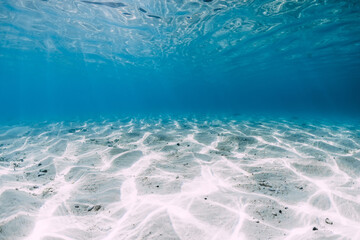 Transparent blue ocean with white sand underwater in Hawaii