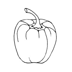 Bell pepper on a white background, doodle.Vector pepper can be used in textiles,culinary designs, and menus.