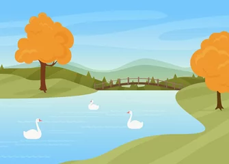Fotobehang Swans swim in river, rural autumn nature landscape vector illustration. Cartoon wild birds on water surface, bridge over river or lake, trees with yellow autumnal leaves stand by riverside background © lembergvector