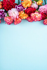 Beautiful and colorful carnation flowers poster