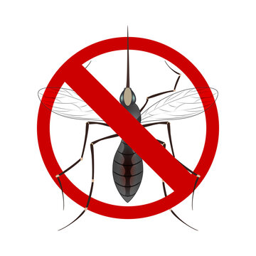 Stop mosquito sign isolated. Anti mosquito sign with a realistic mosquito. Vector image of a mosquito isolated on white background
