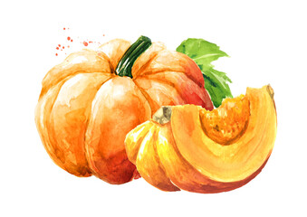 Fresh ripe yellow pumpkin or squash. Watercolor hand drawn illustration isolated  on white background - obrazy, fototapety, plakaty