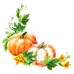 Sweet autumn frame. Fresh ripe decorative colorful pumpkins. Watercolor hand drawn illustration, isolated  on white background
