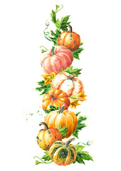Sweet autumn vertical conposition. Fresh ripe decorative colorful pumpkins or squash. Watercolor hand drawn illustration isolated  on white background