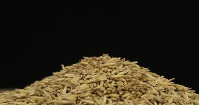 Close-up. Rotation of a heap of oat grains. Isolated on black background.