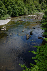 River Esk upstream from the bridge at Bentpath