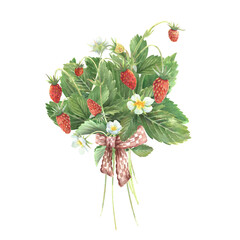 watercolor bouquet of wild strawberries
