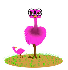 Pink cute Emu bird vector illustration.