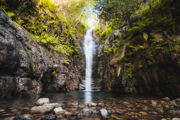 Close-up of a waterfall in the middle of a forest