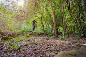 Stunt cyclist riding a mountain bike in the forest