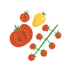 Tomato flat hand drawn set. Cherry tomatoes, yellow and red vegetables. Healthy eating vegan concept.