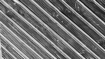 Obraz premium black and white wood texture backdrop