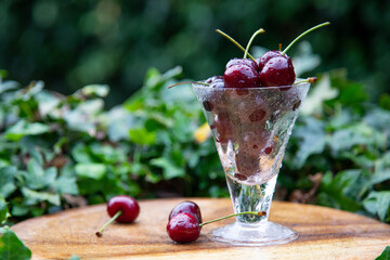 cherries in a glass cup with green nature background