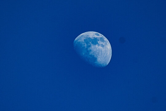Fototapeta The moon in the late afternoon