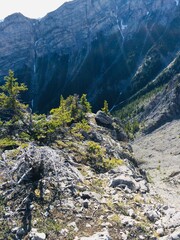 Banff National Park from an amazing viewpoint