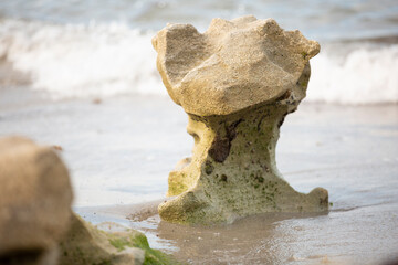 Ocean rock on the beach in Florida with waves.  © Michelle