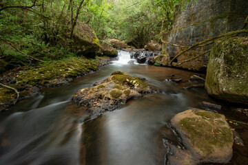 waterfall in the forest
