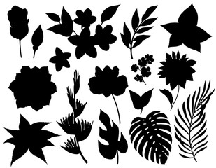 Set of tropical flowers and leaves silhouettes isolated on white background