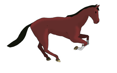 red horse galloping alone on a white background