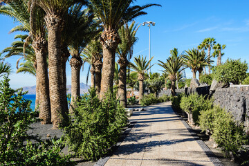 Fototapeta premium Puerto del Carmen beach in Lanzarote, Canary islands, Spain. blue sea, palm trees, selective focus