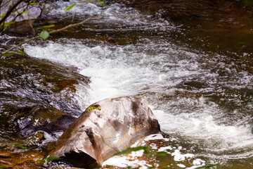 rough water in the mountains, water flows over the rocks, forest, nature, mountains, waterfall, background