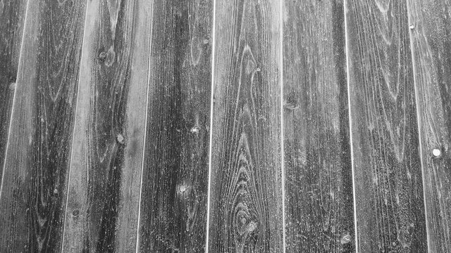 black and white wood texture backdrop